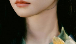 触手动漫视频在线观看,畅游虚拟世界，尽享在线观看盛宴